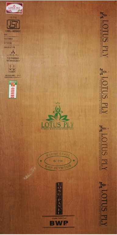 Lotus BWP 8' x 4'